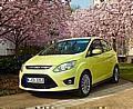 Blüten im Frühling: des einen Freud, des anderen Leid ... Foto: Ford/Auto-Reporter.NET